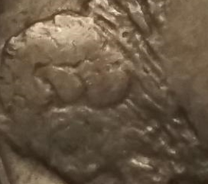 1920-D-5c-Buffalo-Nickel